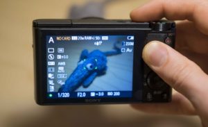 Sony RX100 LCD