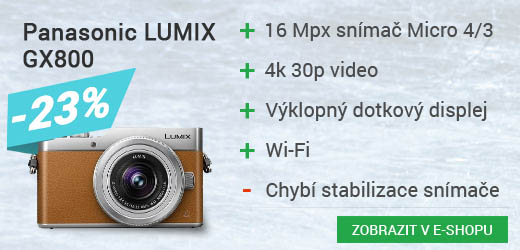 Panasonic LUMIX GX800