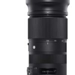 Sigma 100-400mm f/5-6.3 DG OS HSM Contemporary