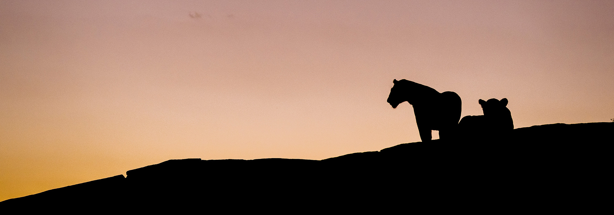 Chris Schmid, Sony Alpha A9, Black Rock v Masai Mara, jihozápadní Keňa