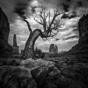 Národní park Arches, Utah, USA. D600, Nikon 17-35mm f/2,8 AF-S, clona f/9, čas 1/250, ohnisko 17mm.