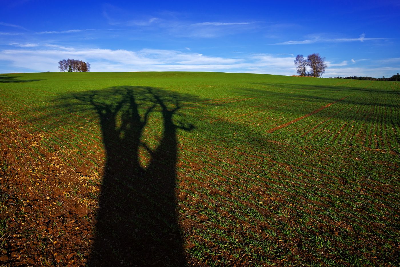 Českomoravská vrchovina. D600, Nikon 17-35mm f/2,8 AF-S, clona f/11, čas 1/200, ohnisko 24mm.