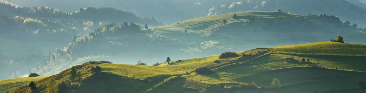 Pieniny, Slovensko. D600, Sigma 150mm f/2,8 EX APO DG OS MACRO, clona f/9, čas 1/800.