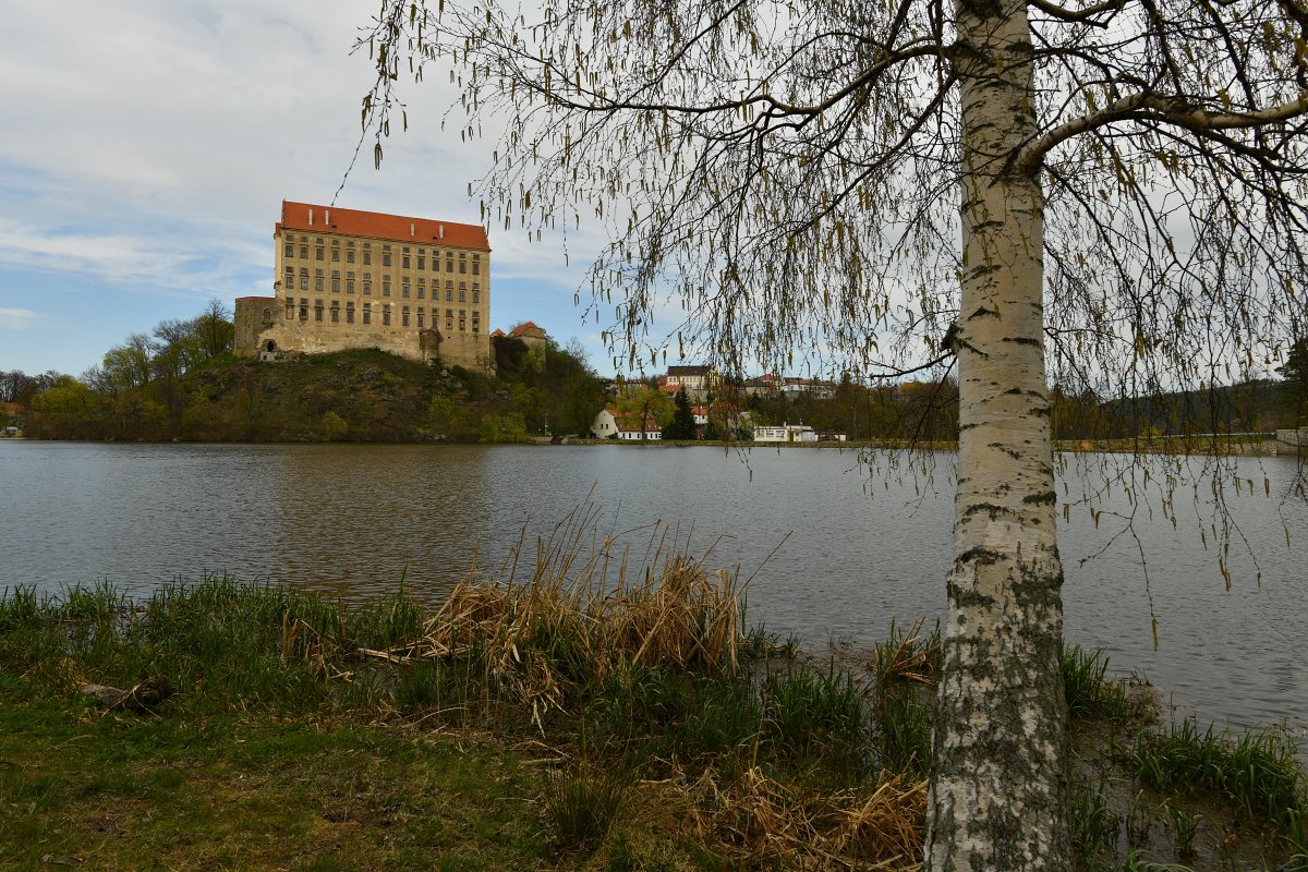 Fotografie pořízená bez filtru. Fotografie pořízená bez filtru.