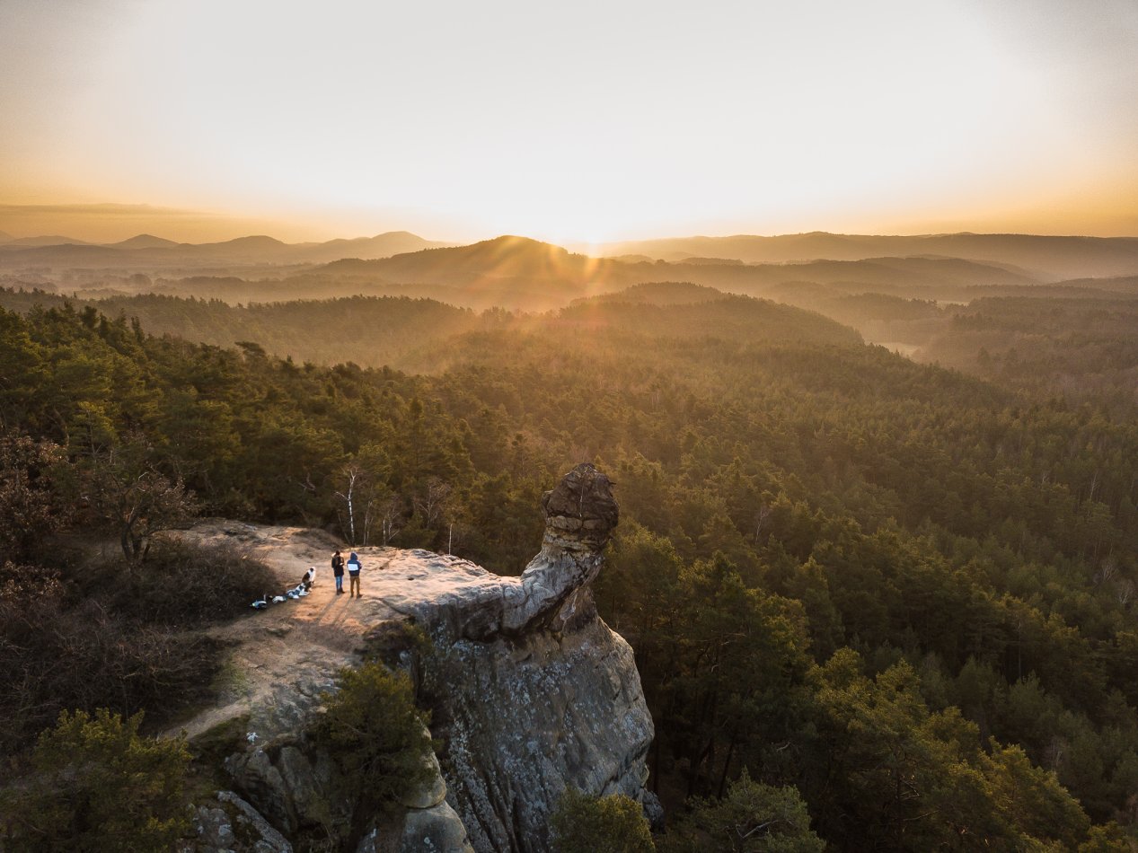 Čapská palice