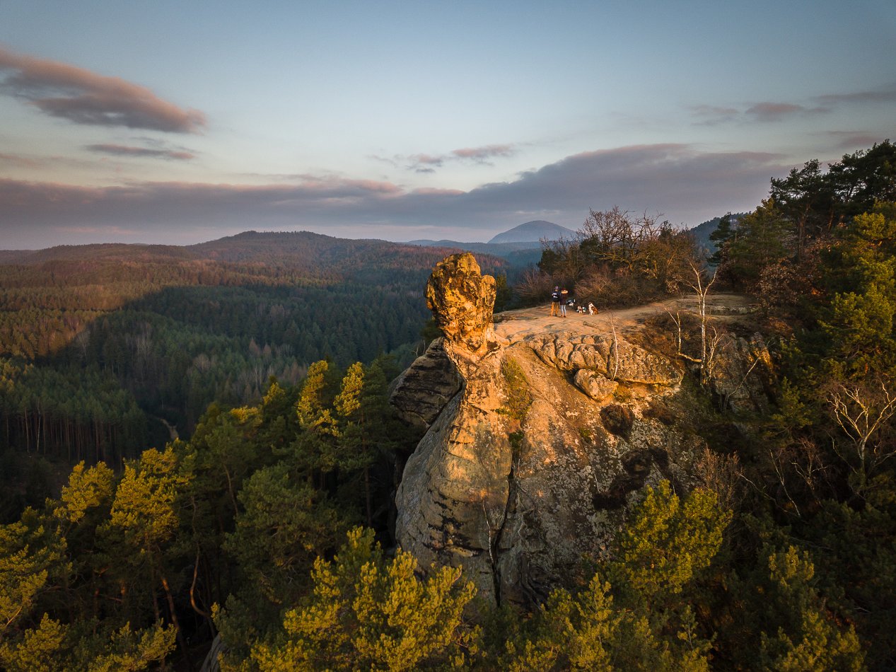 Čapská palice