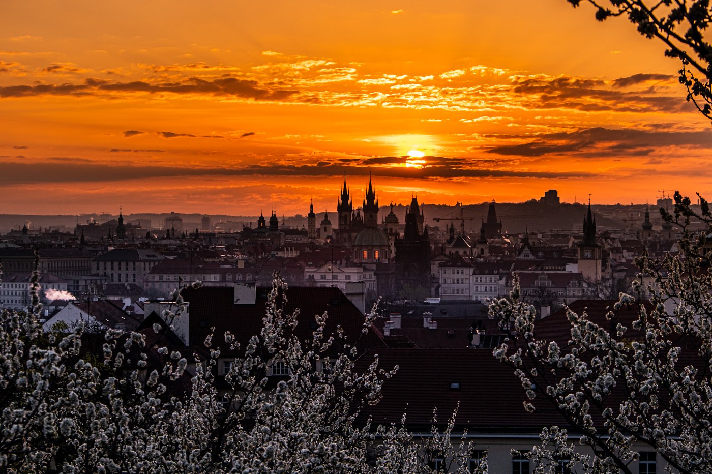 Praha