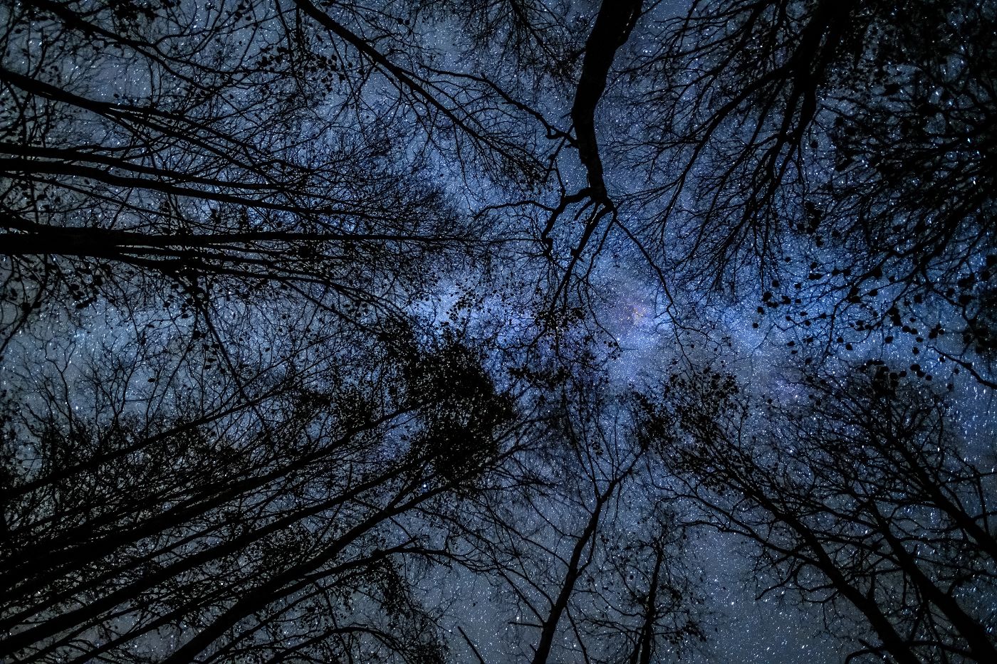 Chalupská slať, Šumava, Petr Jan Juračka