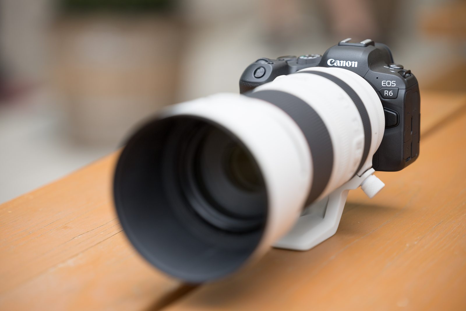 Canon EOS R6 recenze (objektiv Canon RF 100-500mm f /4.5-7.1L IS USM)