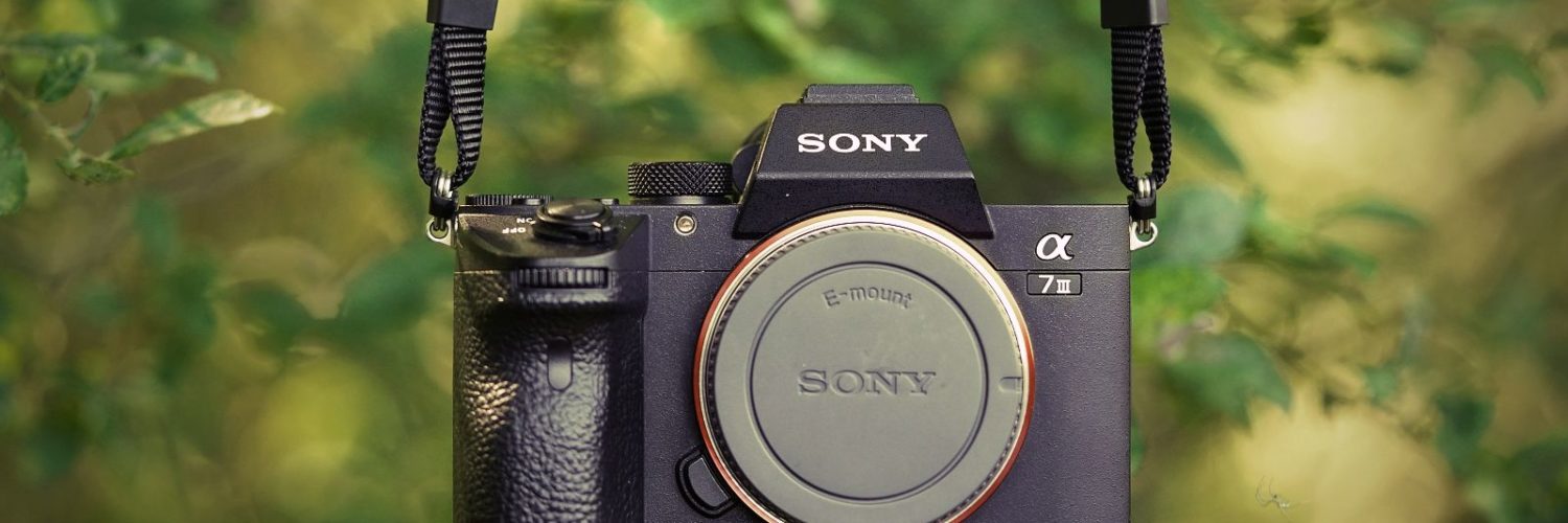 Sony A7 III recenze