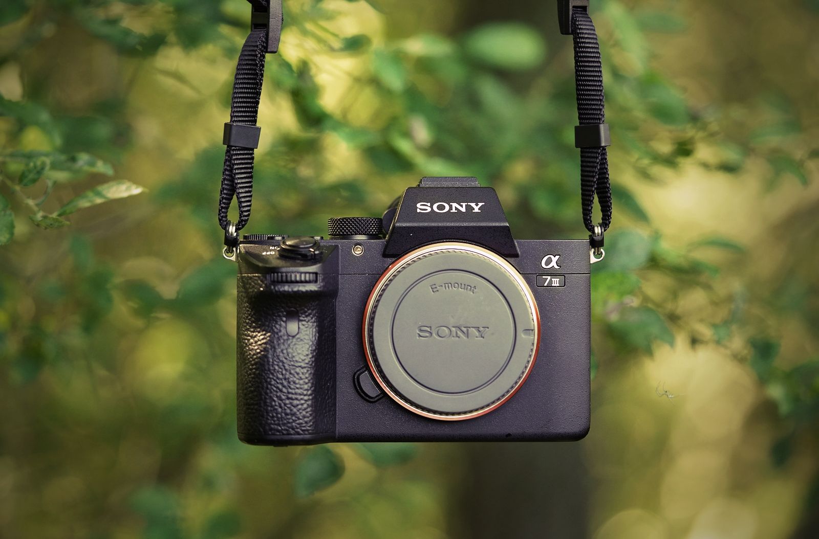 Sony A7 III recenze