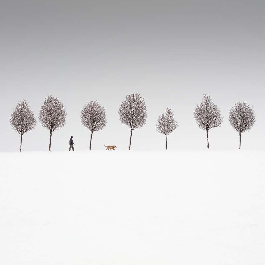 martin rak