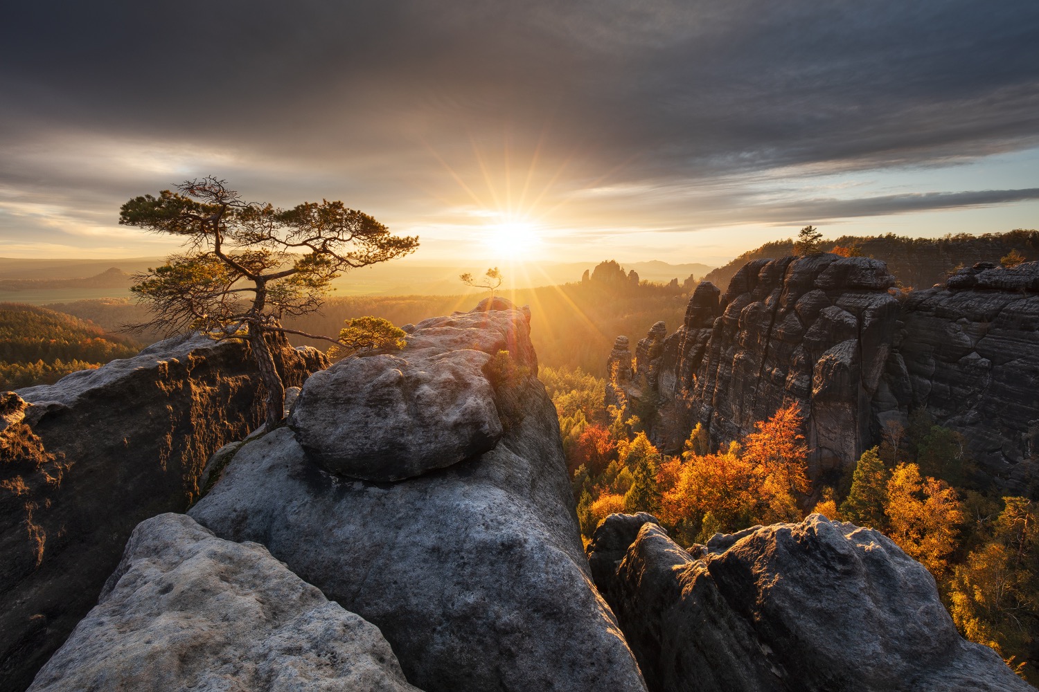 martin rak