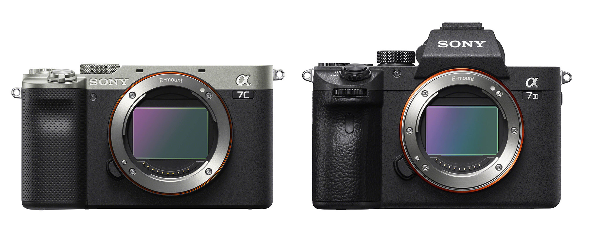 A7C vs A7III comparison