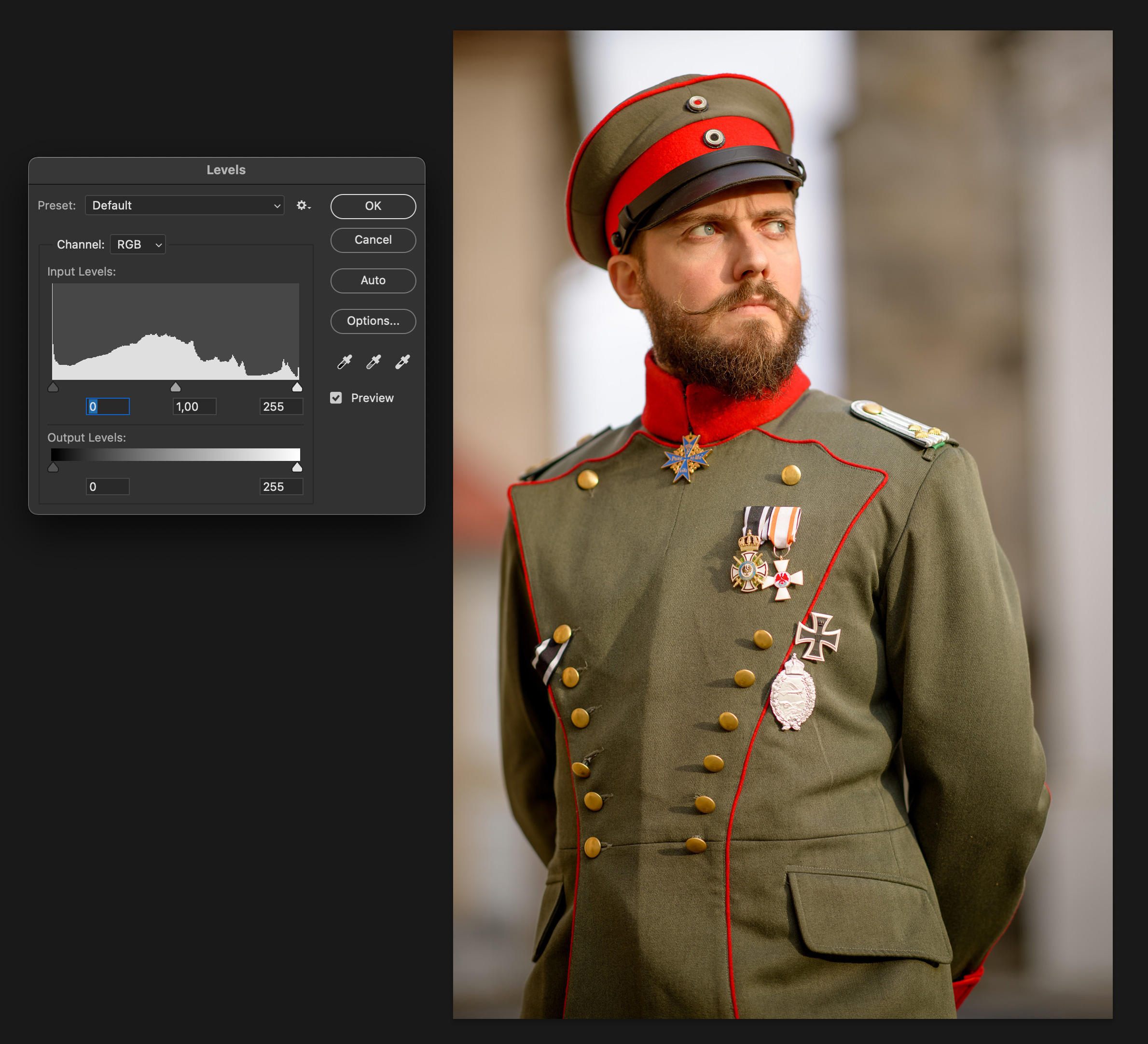 Voják histogram
