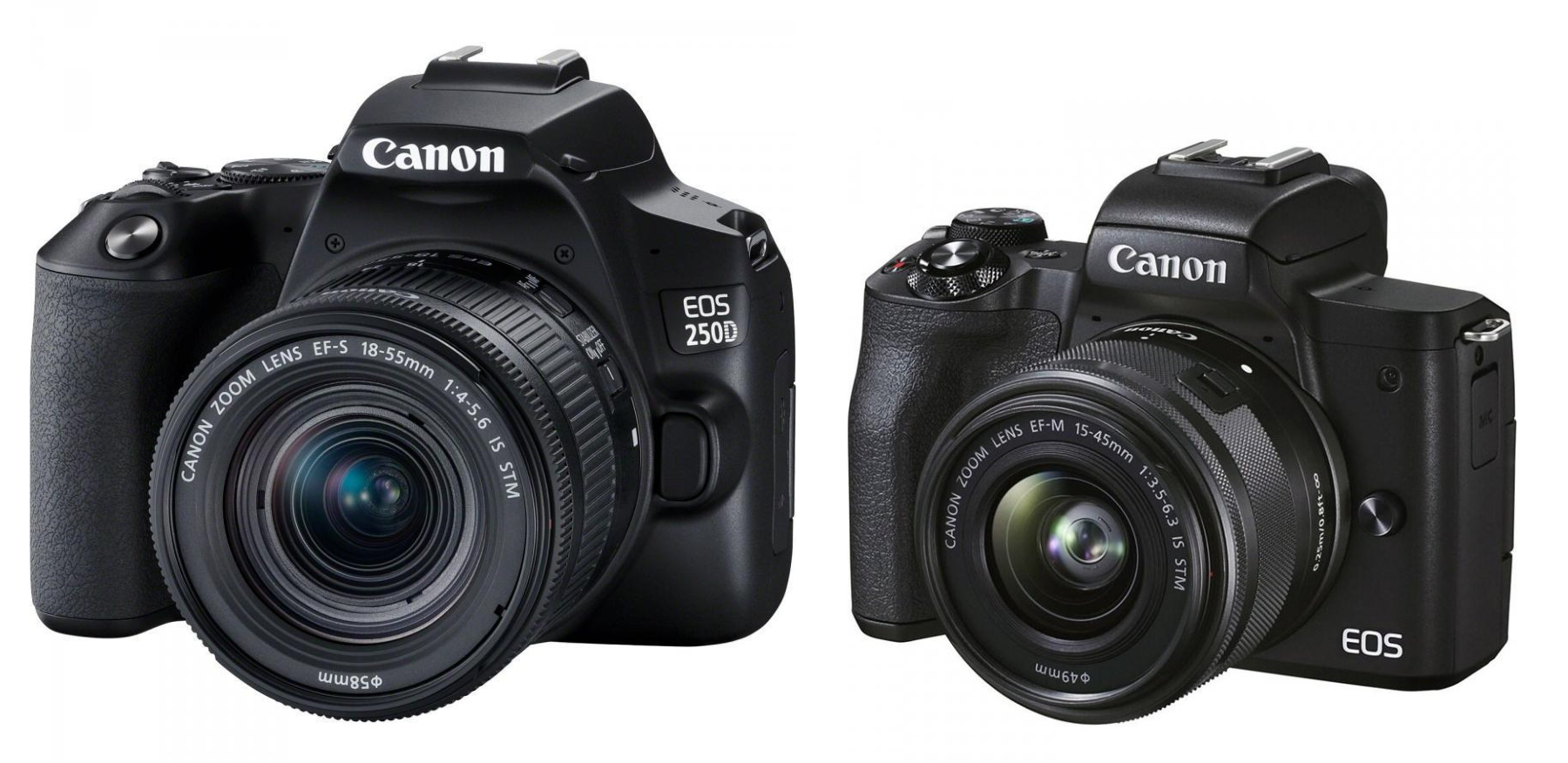 Canon M50 vs 250D