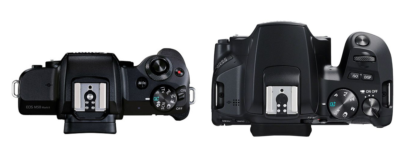 250D vs M50 Mark II