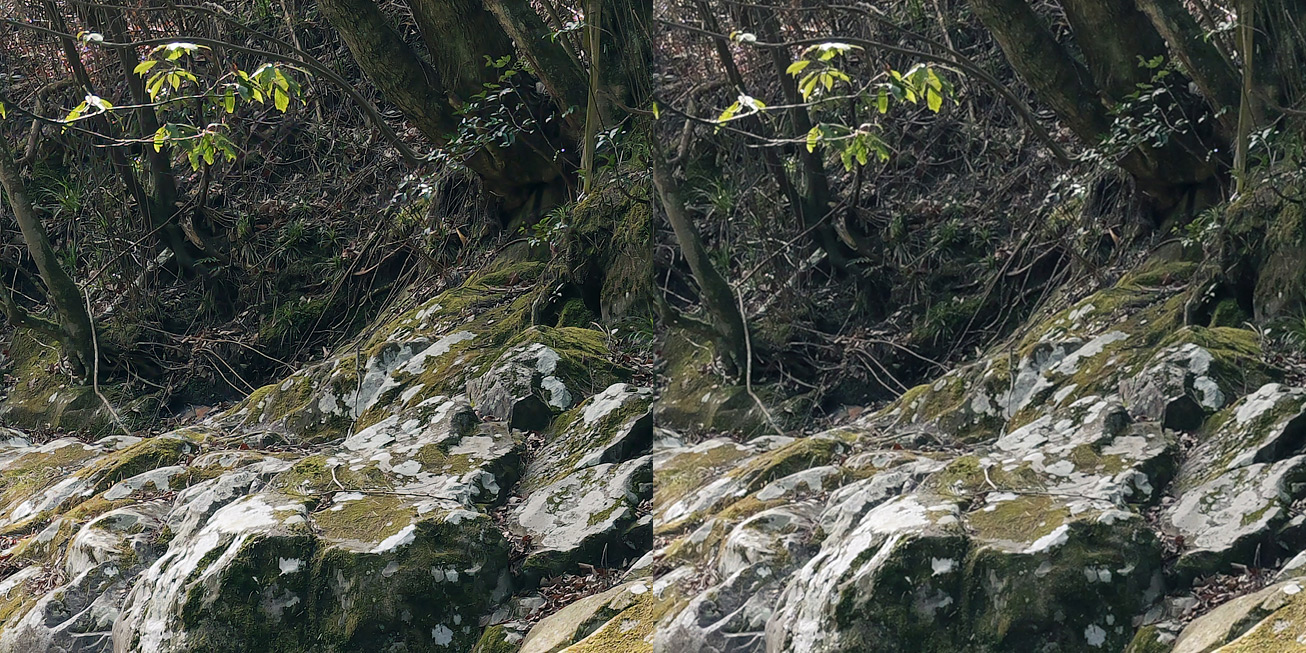 Výřez z fotografie na 100%
