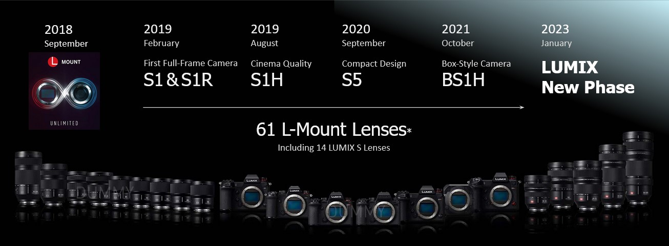 L-mount system