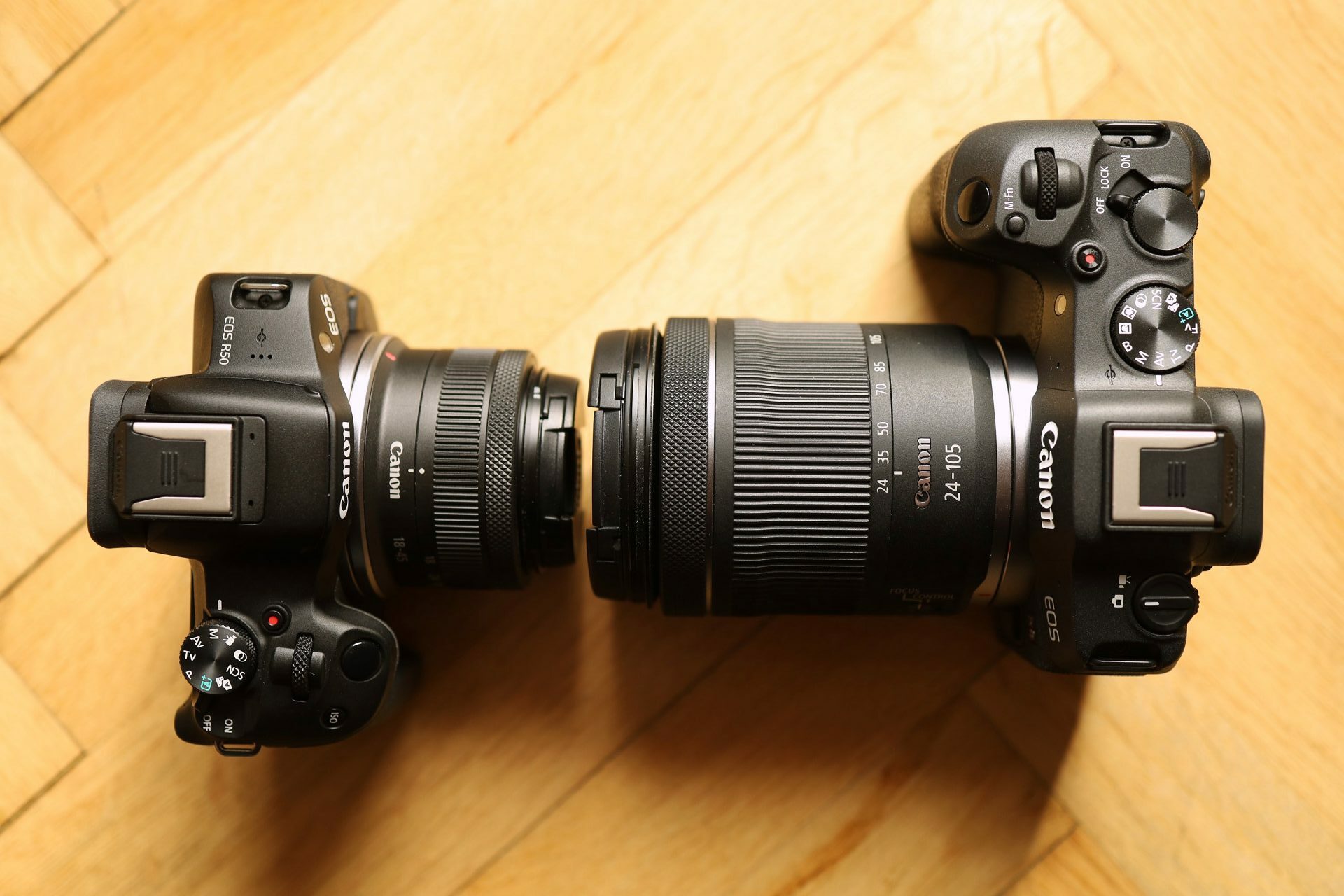 Canon EOS R50 vs R8