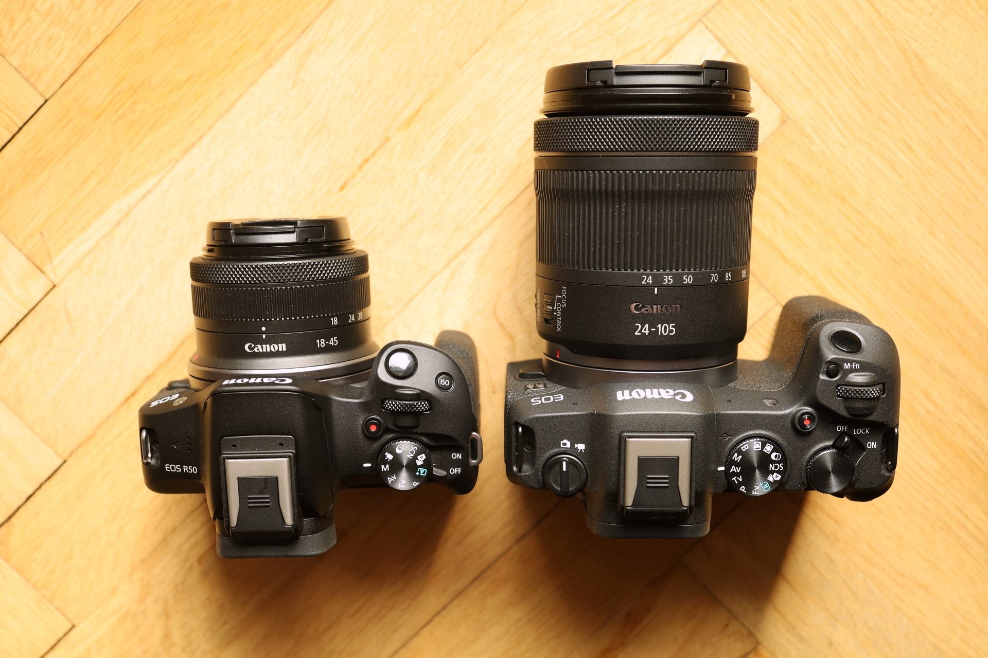 Canon EOS R8 vs R50