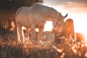 žena, kůň, západ slunce