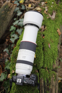 Canon RF 100–500 mm f/4.5–7.1 L IS USM