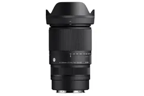 Sigma 16-300mm DC OS Contemp. Sony E
