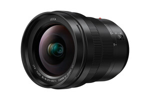 Panasonic Leica DG Vario-Elmarit 8-18mm f/2.8-4 ASPH.