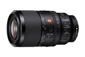 Sony FE 100mm f/2.8 Macro GM OSS