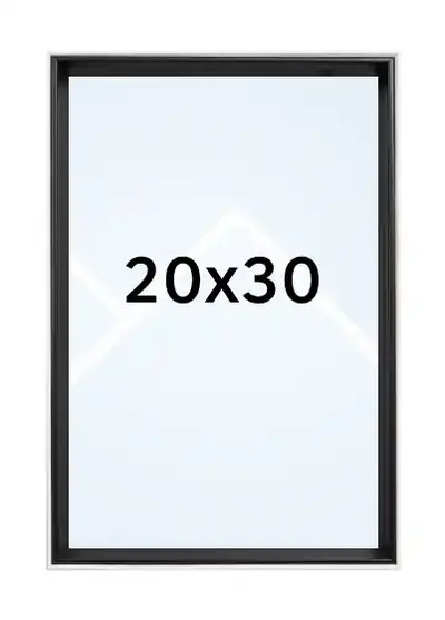 20x30