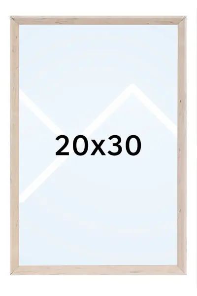20x30