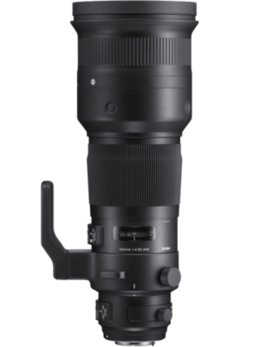 Sigma 500mm f/4 DG OS HSM Sport (Canon)