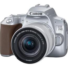 Canon EOS 250D + 18-55mm IS STM stříbrný