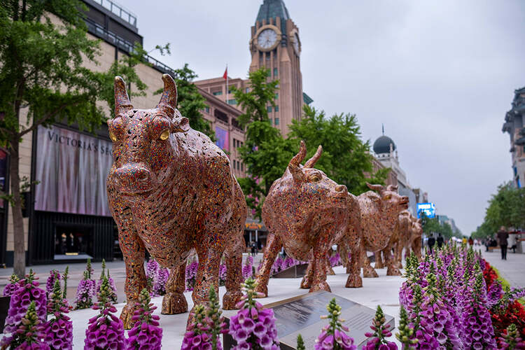 Viltrox AF 23mm f/1.4 XF (Fujifilm)