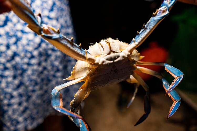 Viltrox AF 23mm f/1.4 Z (Nikon Z)