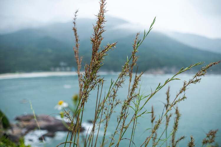 Viltrox AF 23mm f/1.4 Z (Nikon Z)