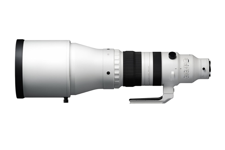 Sigma 300-600mm f/4 DG OS Sports (Sony E)