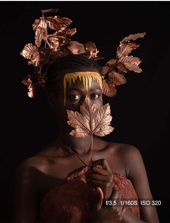 Viltrox AF 85mm f/1.8 FE II (Sony E)