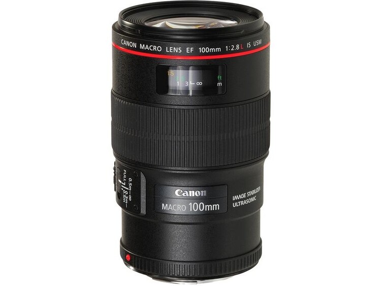 Canon EF 100mm f/2.8L Macro IS USM