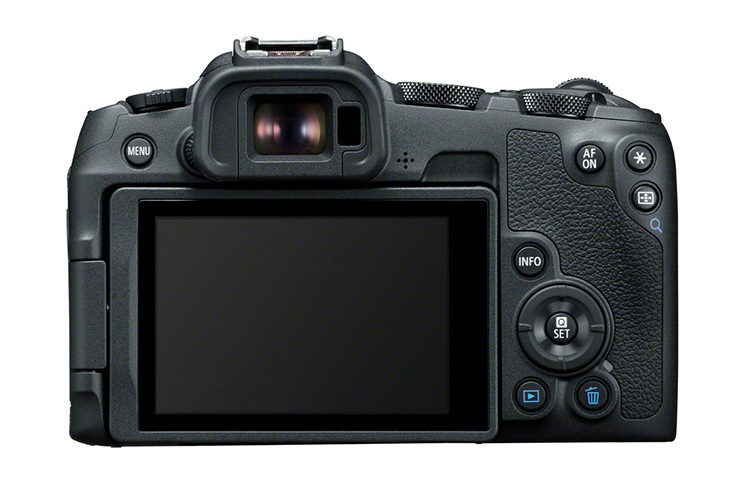 Canon EOS R8 + RF 24-105mm f/4-7.1 IS STM