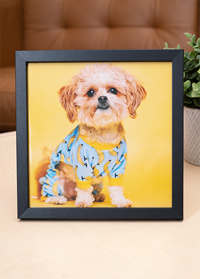 Falc QUADRO - fotorámeček - Černá, 15x15, 20x20