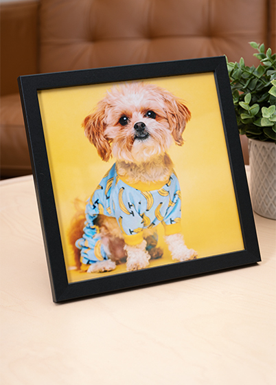 Falc QUADRO - fotorámeček - Černá, 15x15, 20x20