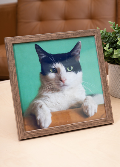 Falc QUADRO - fotorámeček - Ořech, 15x15, 20x20