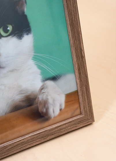 Falc QUADRO - fotorámeček - Ořech, 15x15, 20x20