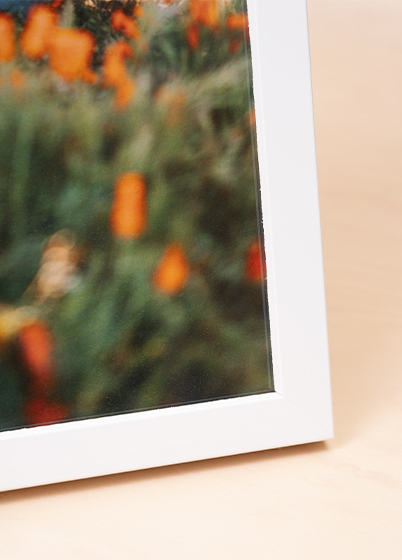 Falc QUADRO - fotorámeček - Bílá, 15x20, 20x25