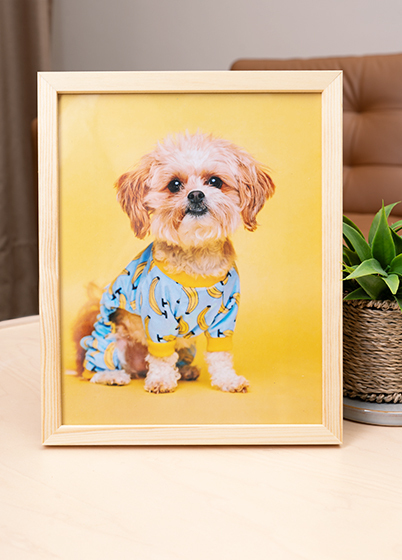 Falc QUADRO - fotorámeček - Dub, 15x20, 20x25