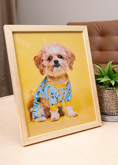 Falc QUADRO - fotorámeček - Dub, 15x20, 20x25