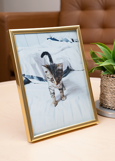 Hama MADRID - fotorámeček - Zlatá, 10x15, 15x20