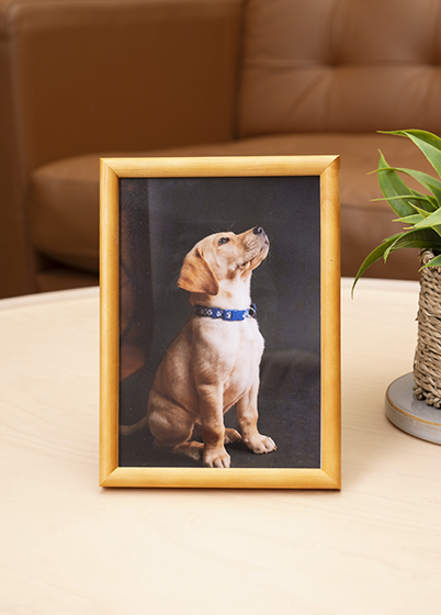 Hama PHOENIX - fotorámeček - Korek, 7x10, 10x15